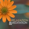 Meditation Ambient Relaxation