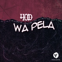 Wa Pela - Single - 40D