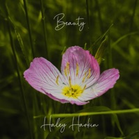 Beauty - Single - Haley Harkin