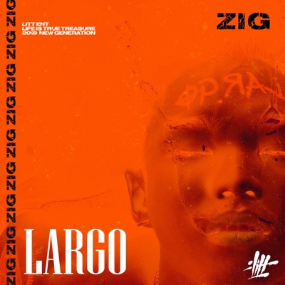 Zig - Get Well Soon (feat. Grace)