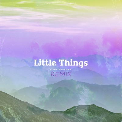 Little Things (feat. Dubbygotbars) [Remix] - Single