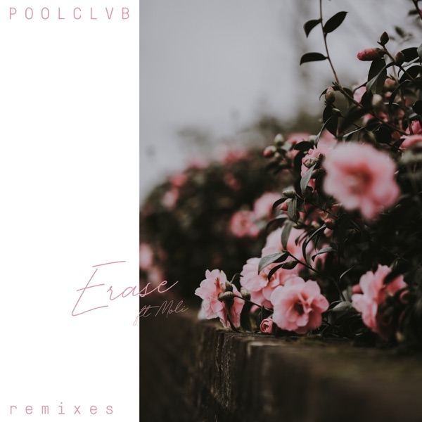 Erase (Reblok Remix) [feat. Moli] - Single