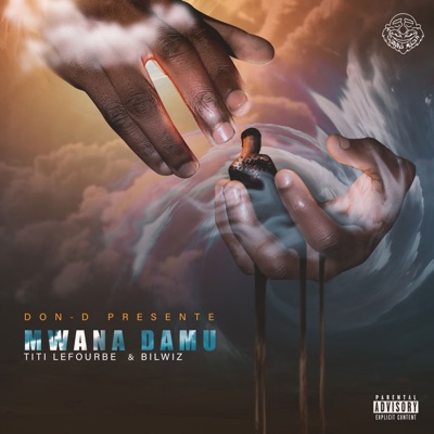 Mwana Damu (Don-D Presents Titi LeFourbe & Bilwiz)