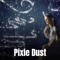 Pixie Dust - David Phillips lyrics