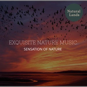 Exquisite Nature Music - Sensation of Nature