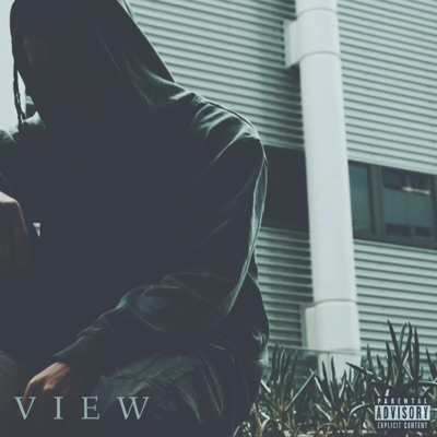 View - Single