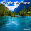 Fur Elise - Beethoven - NEIL CROSS
