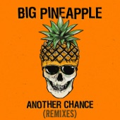 Another Chance (Keanu Silva Remix) artwork