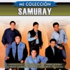 Mi Colección: Samuray