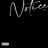 Notice - Single