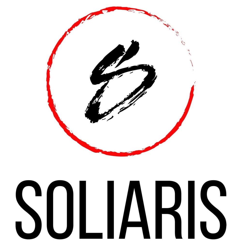 Обложка альбома «What have we done (feat. Vitta) - Single» — Soliaris