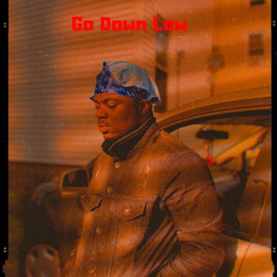 Go Down Low - Single
