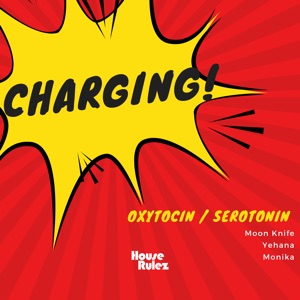 Charging ! - Single