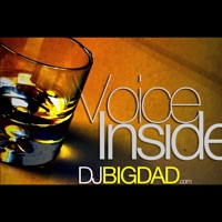 Voice Inside - DJ Bigdad