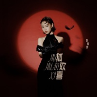 狐欢喜 - Single - Ye Xuanqing