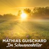 Mathias Guischard