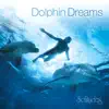 Dan Gibson's Solitudes - Adventurous Spirit