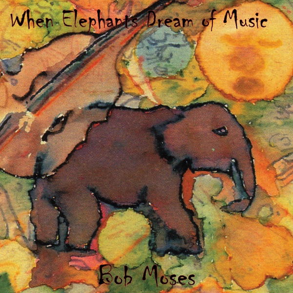 When Elephants Dream of Music - Bob Moses