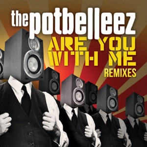 Are You With Me (Remixes) - Single