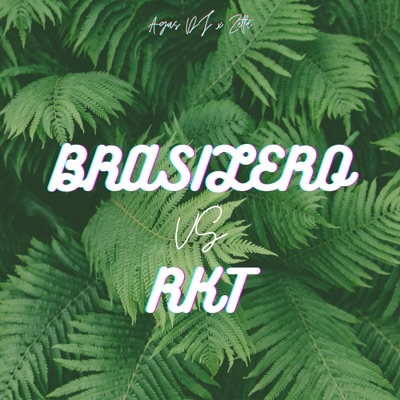Brasilero Rkt (feat. Zelta) - Single