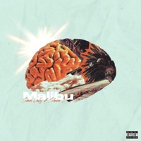 Malibu - Single - Sean Valy & Shanez