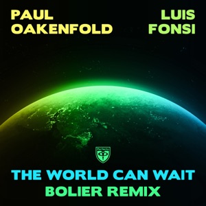The World Can Wait (Bolier Remix) - Single