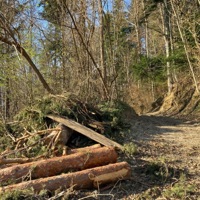 catastrophe - Single - THXMAS