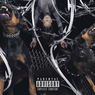 PlugTalk - Single