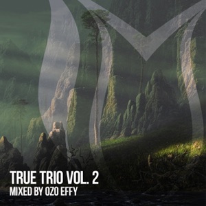 True Trio, Vol. 2 (DJ Mix)