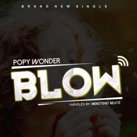 Blow Popy Wonder