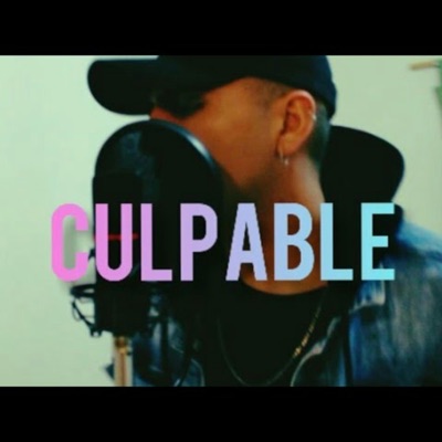 Culpable - Single