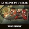 Secret Stachella