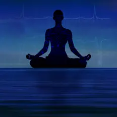Listen to Conscious Frequencies, watch music videos, read bio, see tour dates & more!