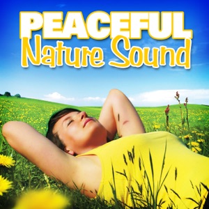 Peaceful Nature Sound