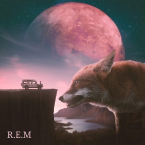R.E.M (feat. Birdee) - Single