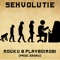 Sexvolutie (feat. Playboi Robi) - RDUKU lyrics