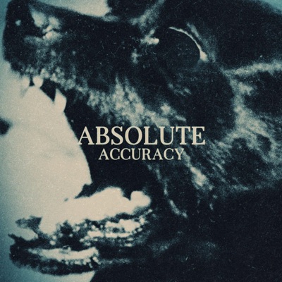 Absolute Accuracy - Single