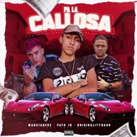 Pa La Callosa (Marcianeke y Originality Kush) - Single - Pato Jr