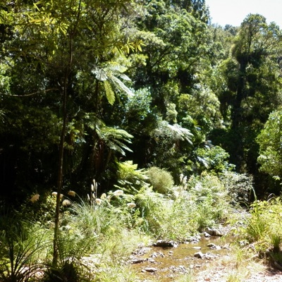 Opening My Eyes (feat. Link Flamingo) - Single