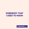 Somebody That I Used to Know - Single