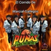 El Corrido De Marcial Gallegos - Single