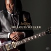 Joe Louis Walker