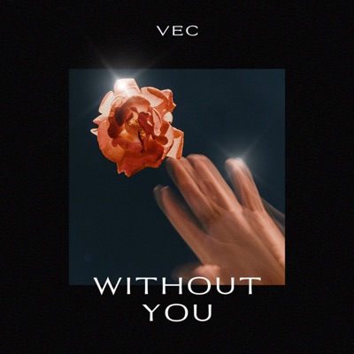Without You - Single