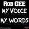 Moshpit (feat. DRS & Lil Texas) - Rob Gee lyrics