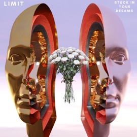 Stuck in Your Dreams Limit