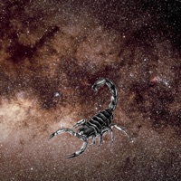 Escorpión (feat. Kutu) - Single - Natxo Casino