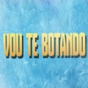 Vou Te Botando - Single