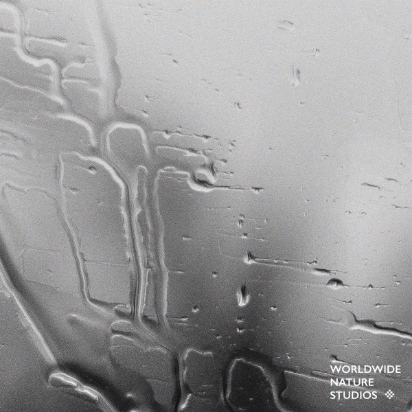 Rain Sounds Vol. 2 - EP