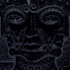 TOOL - The Pot artwork