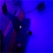 Spawn (feat. CheckSound) - N6B6R6S lyrics
